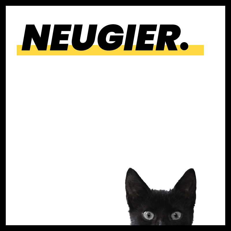 Die quadratische Grafik zeigt den slideguru-Wert "Neugier" im oberen Bereich. An der unteren Kante ist eine schwarze Katze mit großen Augen zu sehen.